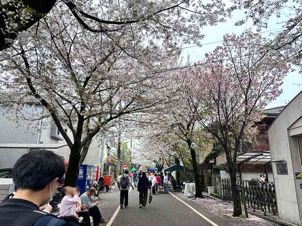 2026成城さくらフェスティバルの入口