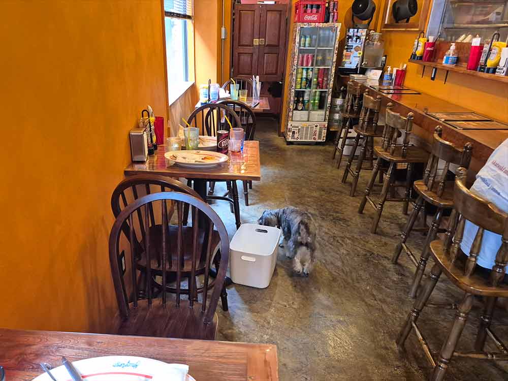 YUMMY-BURGERのテーブル席