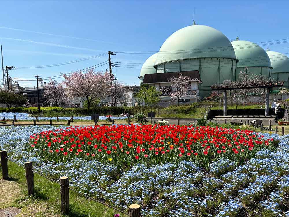 蘆花恒春園の花壇