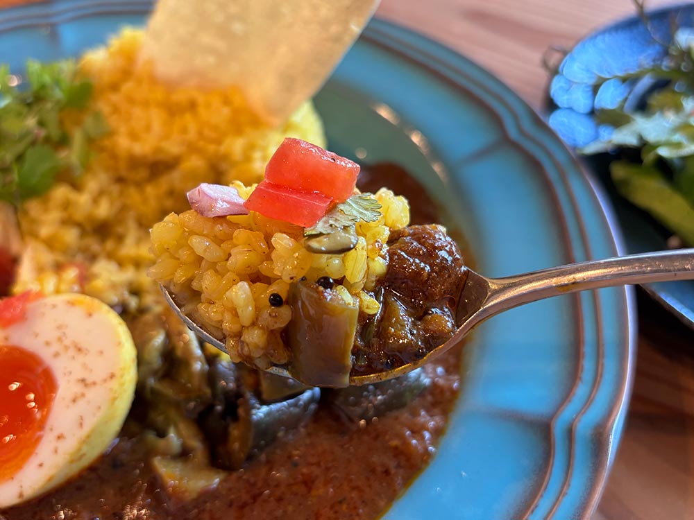 spice&vinegar85-東京ビンダルーのカレー接写