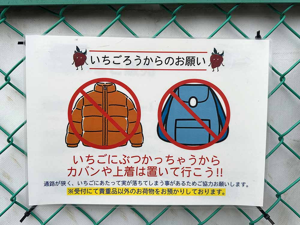 いちご熟の注意