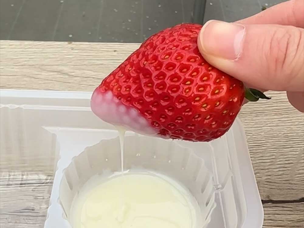 いちご熟の練乳つける
