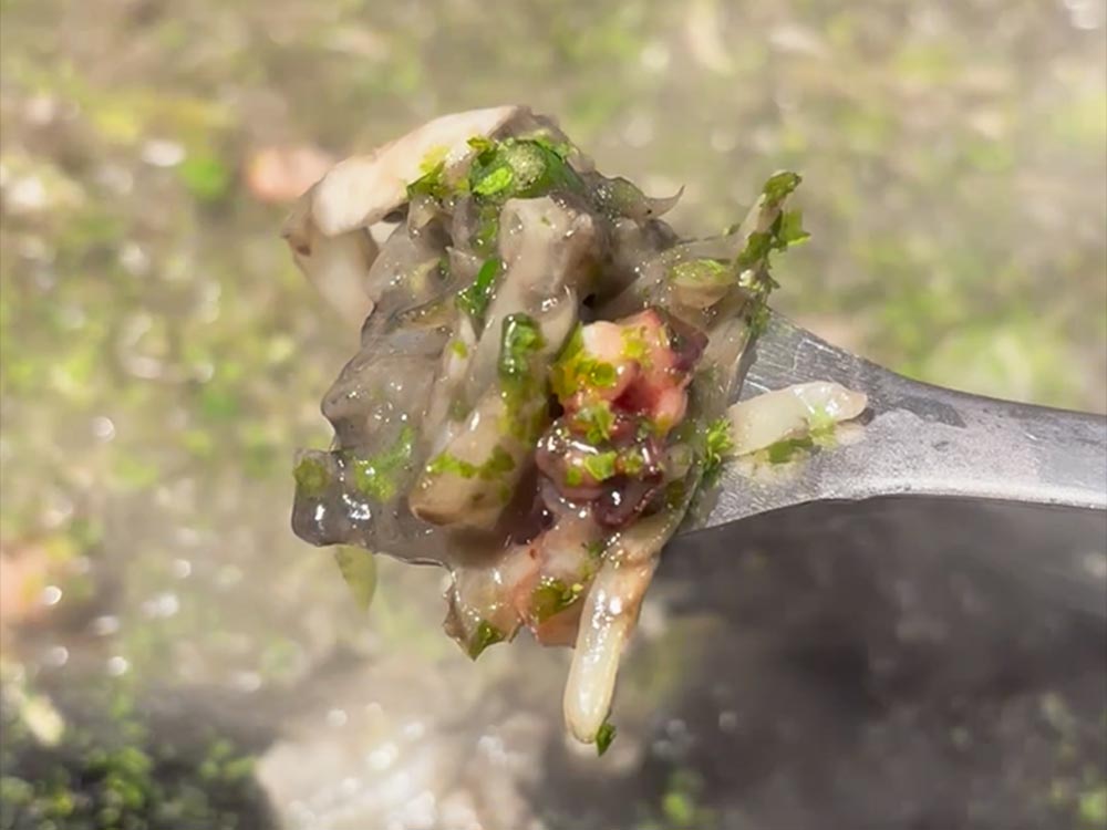 たまとやイカ墨接写