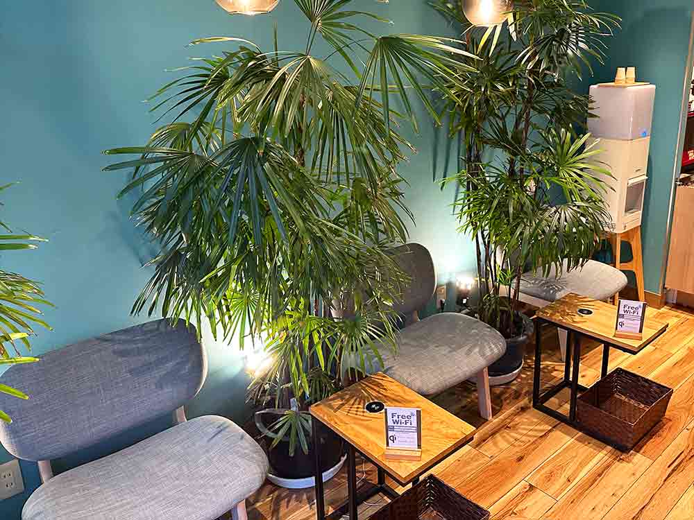 コーヒーロースタリー-セルバの席