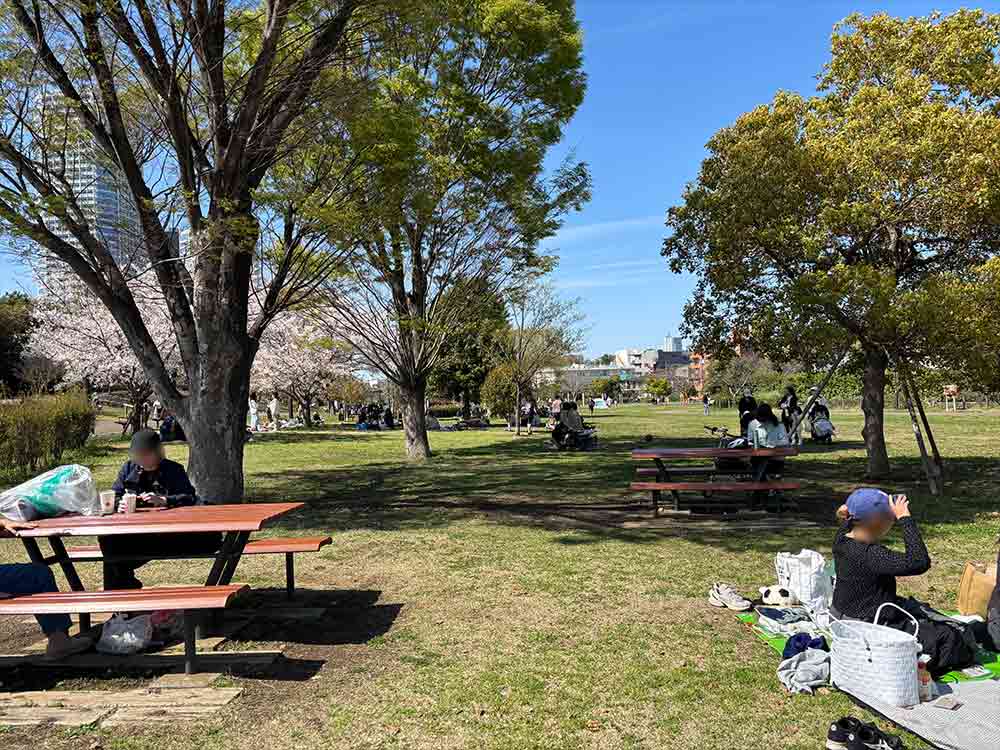 二子玉川公園の草広場
