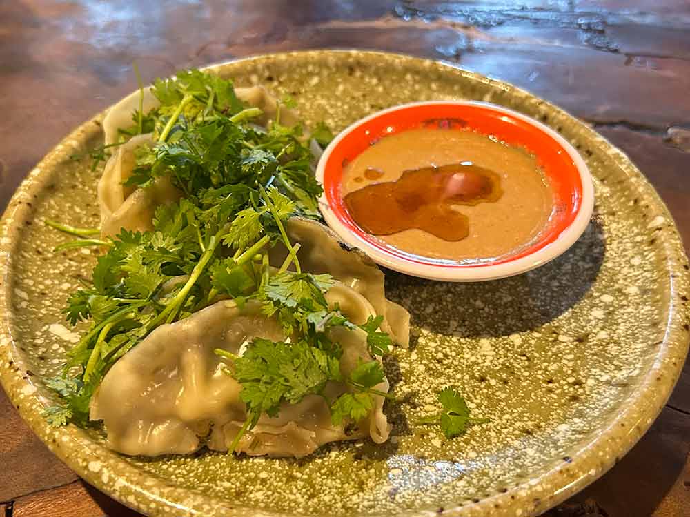 亞細亞食堂サイゴンの餃子