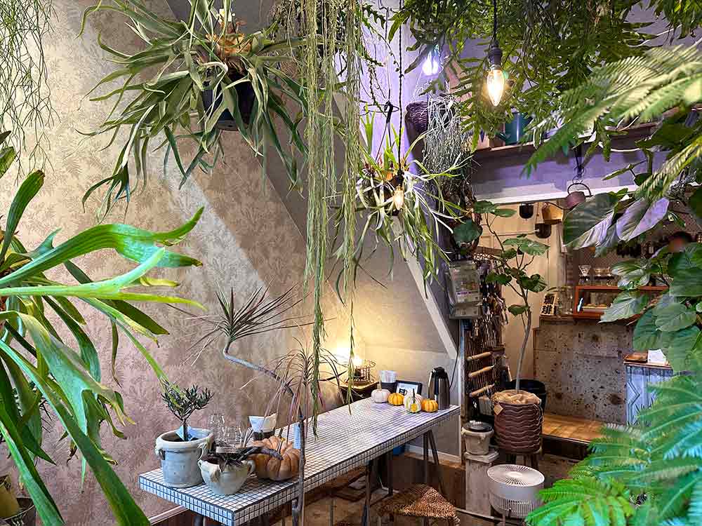 入山十百花店の内観