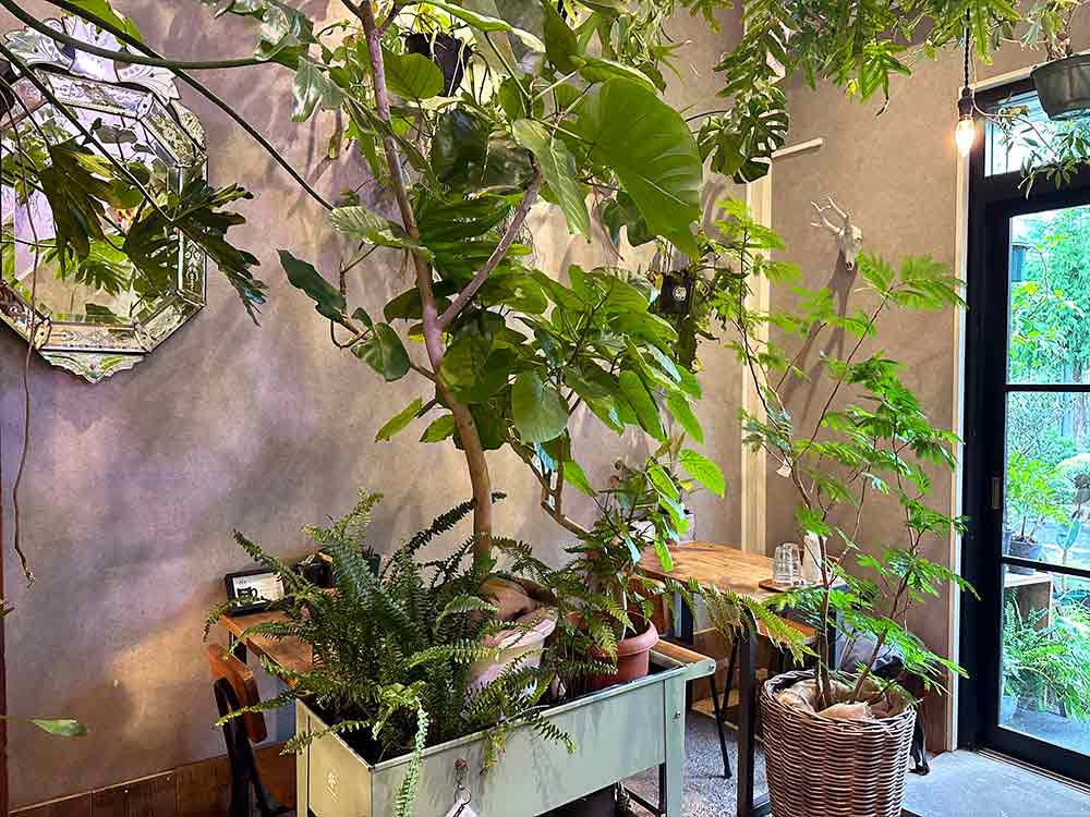 入山十百花店の内観2