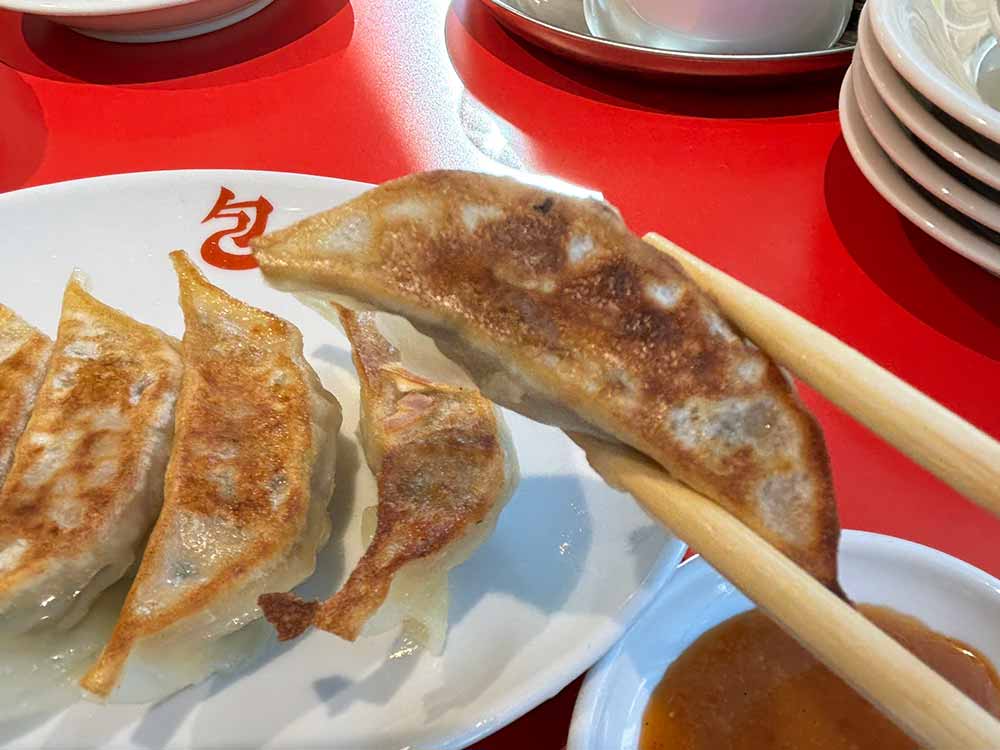 包の薄皮餃子接写