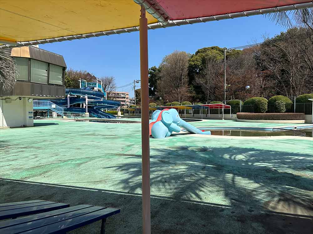 大蔵運動公園のプール