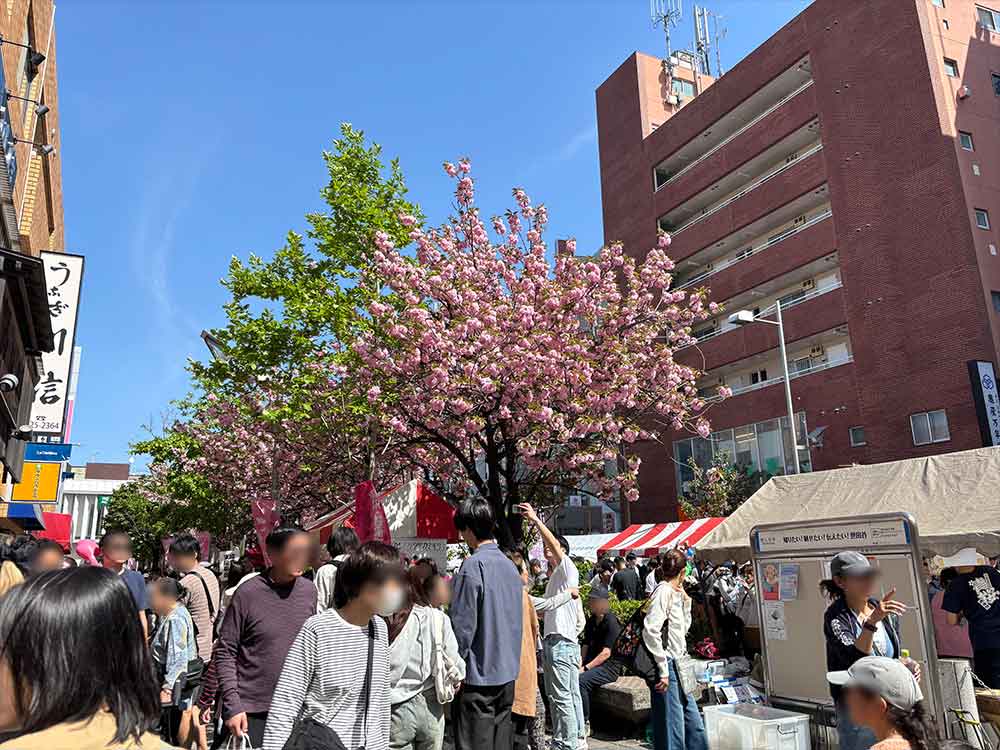 桜新町さくらまつりのわき道