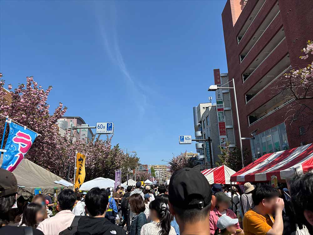 桜新町さくらまつりの道