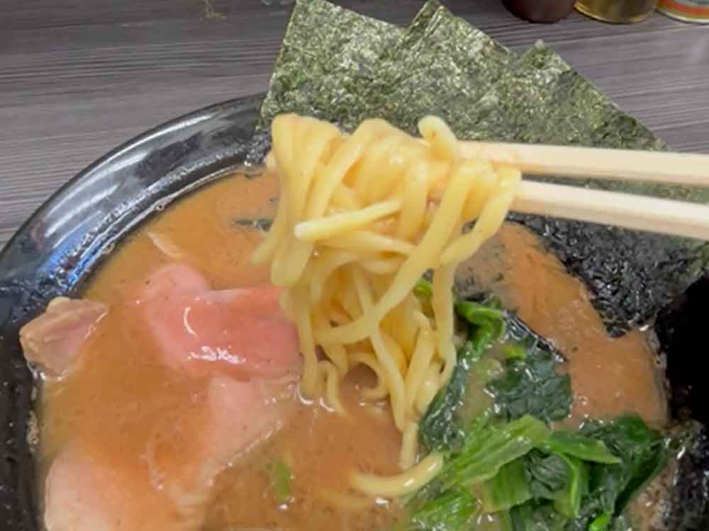 桜道家のラーメン接写
