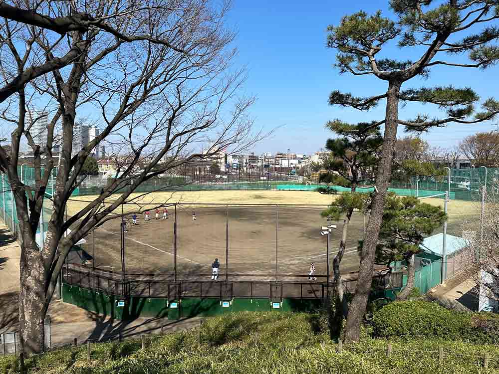 玉川野毛町公園の野球場