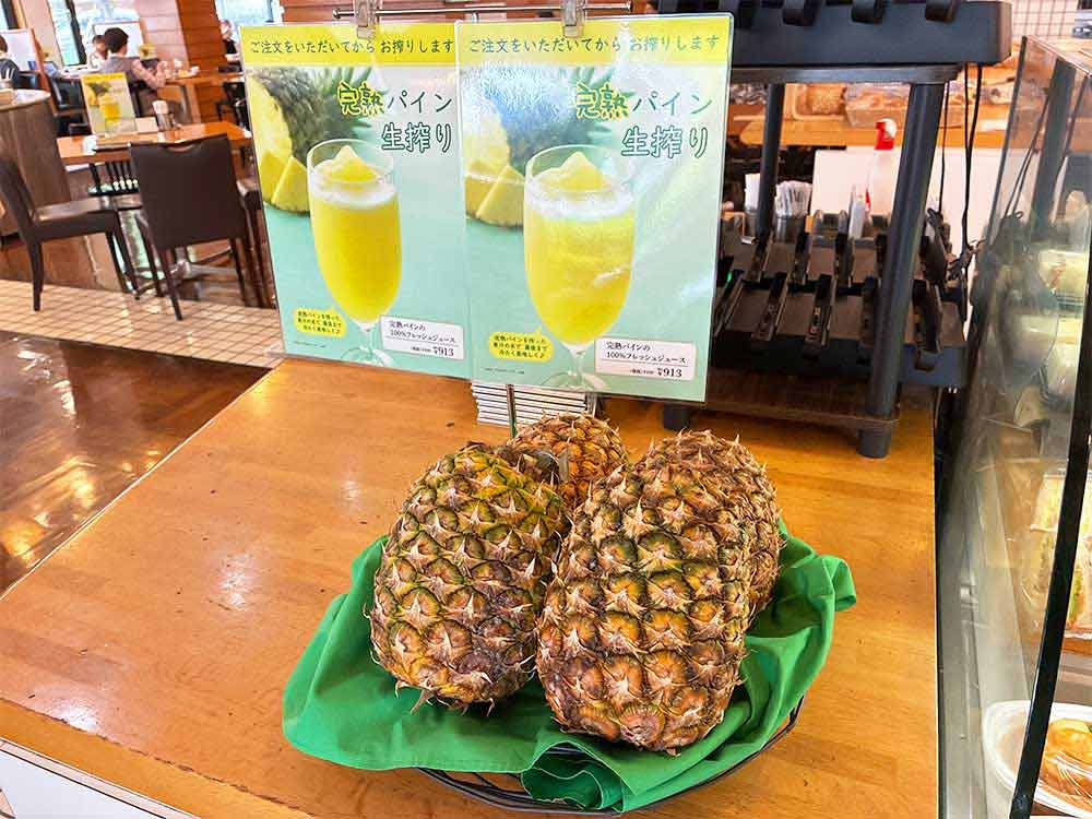 神戸屋レストランの期間限定おすすめメニュー