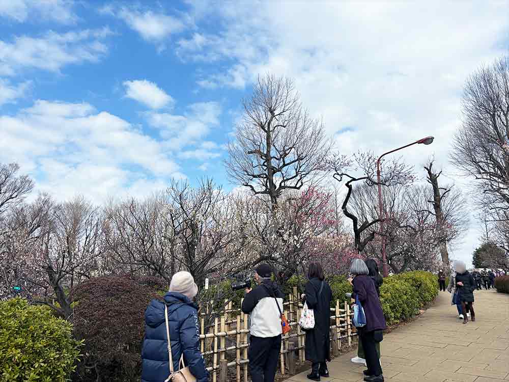 羽木公園の来園者