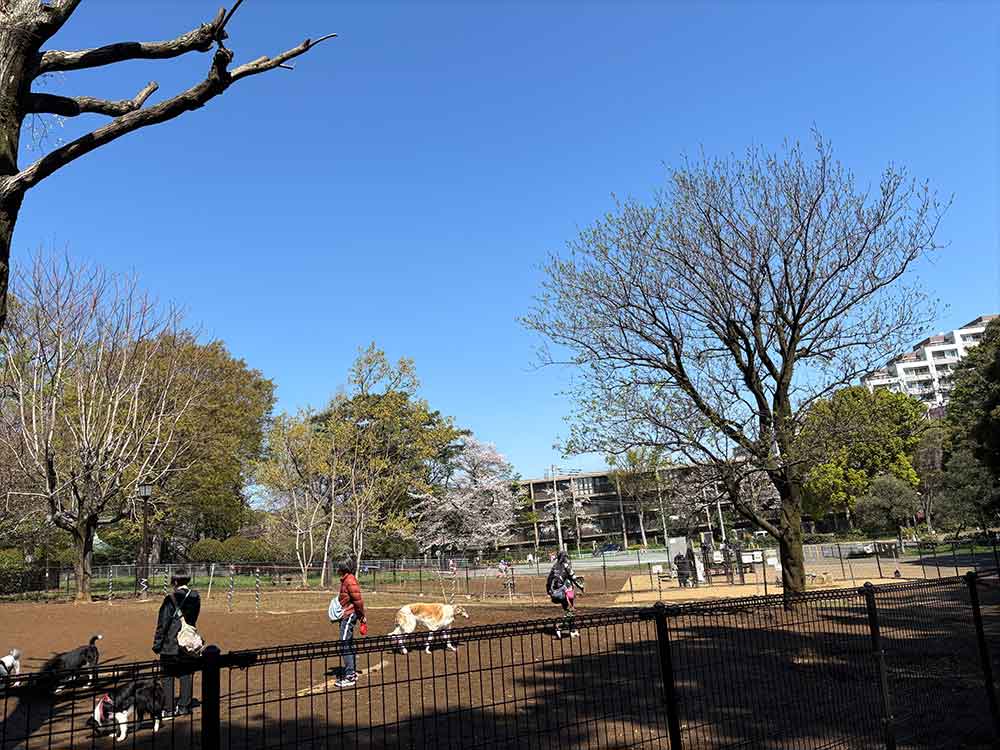 蘆花恒春園のドッグラン